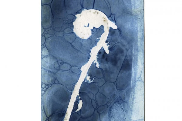 Atelier artistique - Impression au Cyanotype - Bonjour Alsace