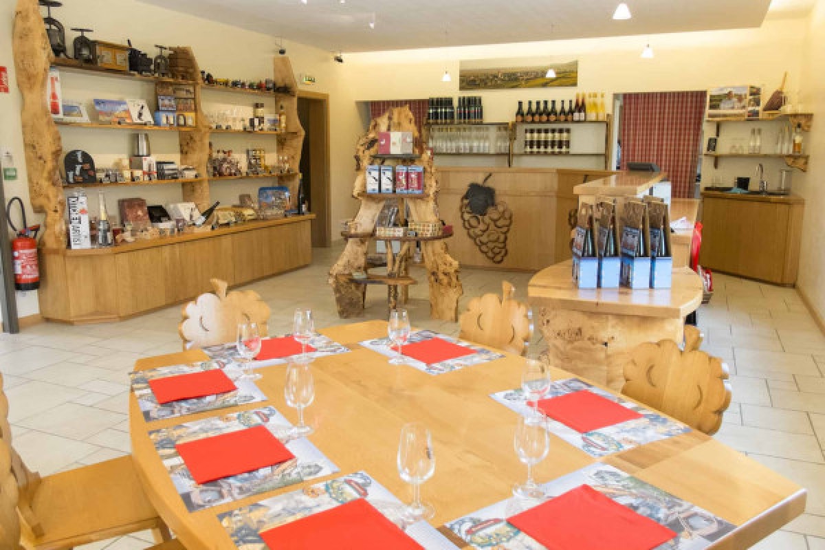 Atelier Découverte des Vins d'Alsace et Visite de Cave - Bonjour Alsace