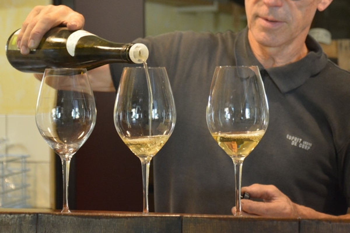 Atelier "Peinture et Vin" - Bonjour Alsace