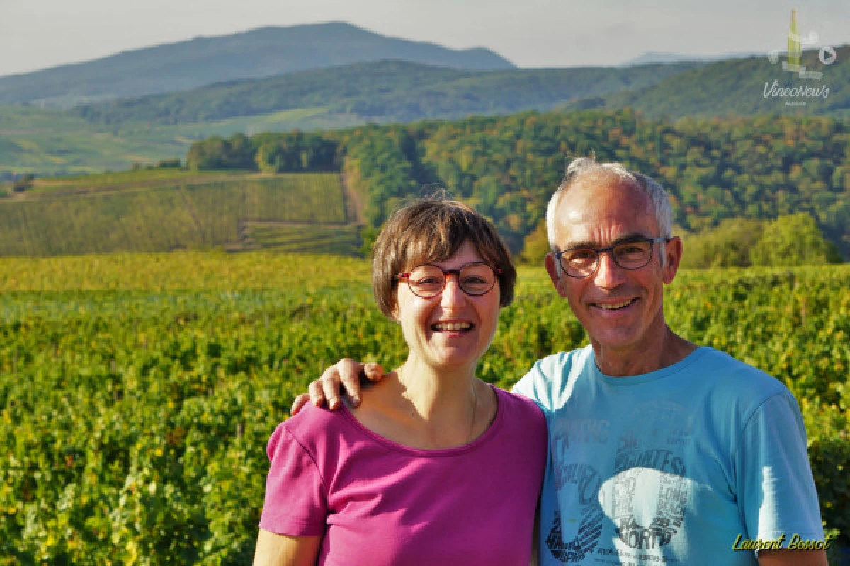 Atelier "Peinture et Vin" - Bonjour Alsace