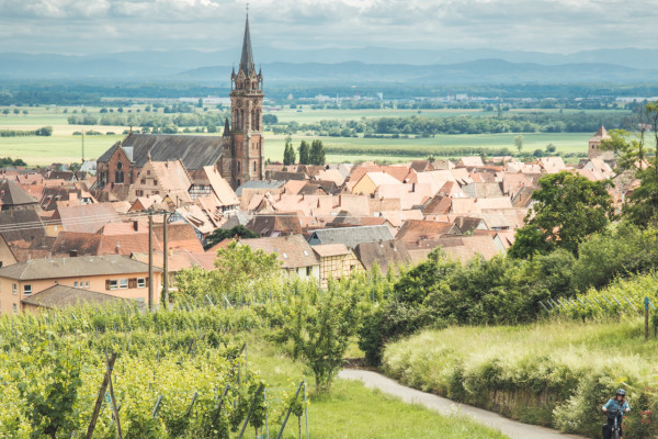 Balade à vélo sur la Route des Vins - Bonjour Alsace
