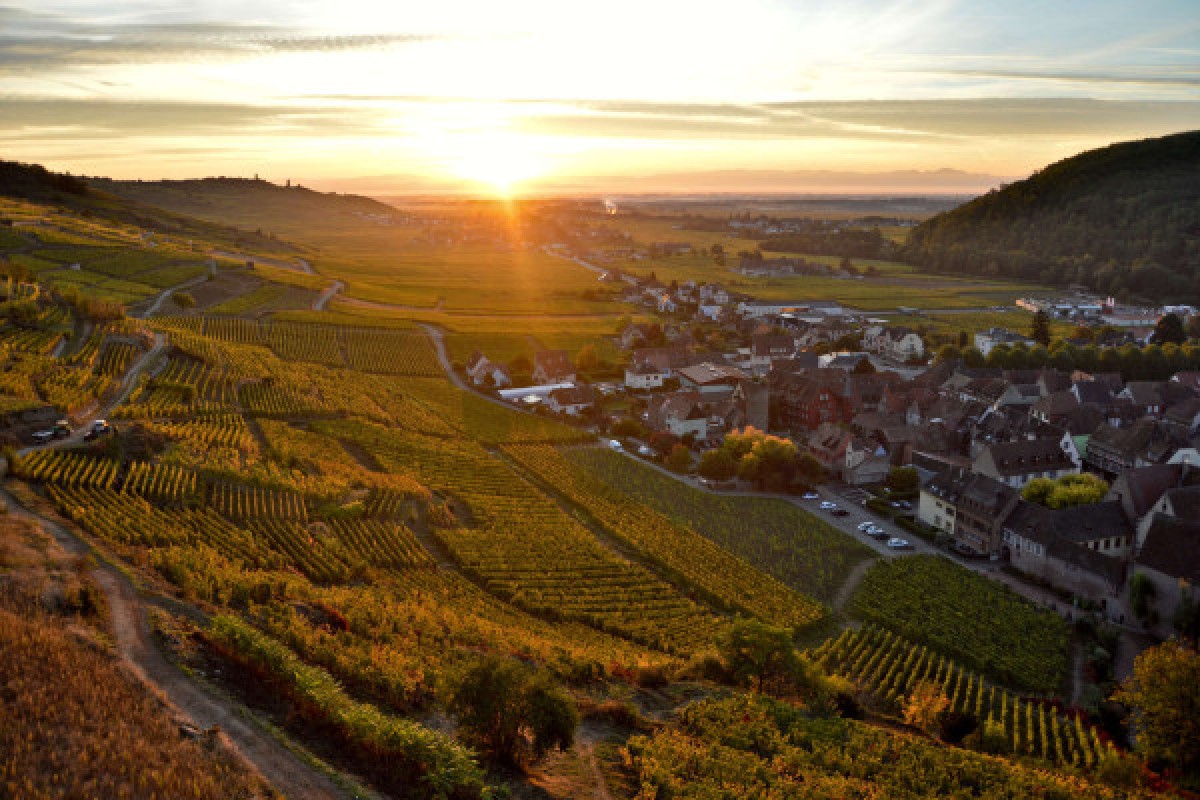 Balade dans le Schlossberg et dégustation de vins de terroirs - Bonjour Alsace