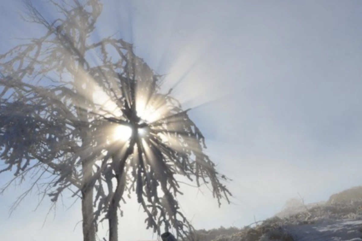 Balade en raquettes à neige découverte du Rossberg - Bonjour Alsace