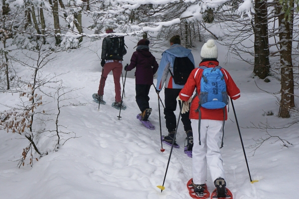 Balade en raquettes et repas en auberge - Bonjour Alsace