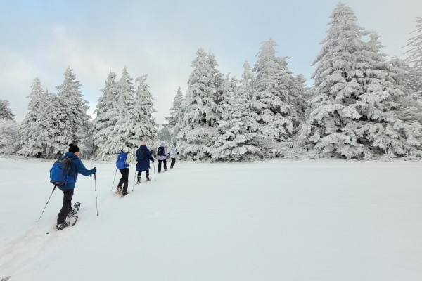 Balade en raquettes matin ou après-midi - Bonjour Alsace