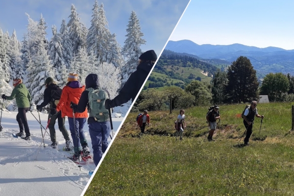 Balade en raquettes ou à pied en pleine nature - Bonjour Alsace