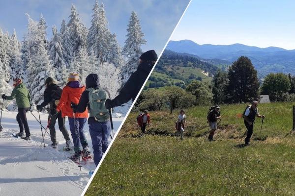 Balade en raquettes ou à pied en pleine nature - Bonjour Alsace