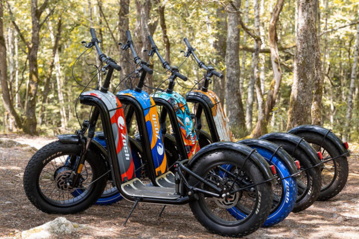 Balade en trottinette électrique  - Bonjour Alsace