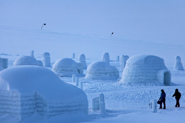 Balade Familiale et igloo au Markstein - Bonjour Alsace