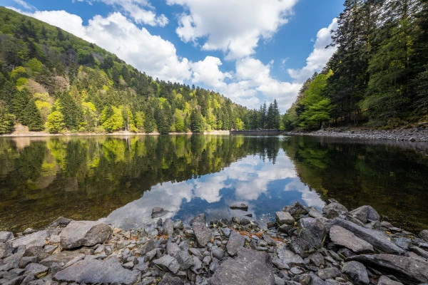 Balade sonore au son du lac d'Altenweiher - Bonjour Alsace