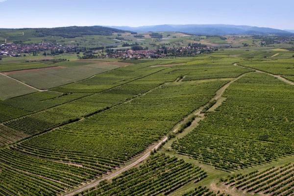 Bonjour Alsace | BERGBIETEN #15