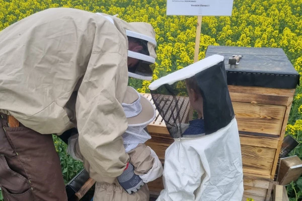 Bienenvolk erstellen - Bonjour Alsace Bienenvolk erstellen - Bonjour Alsace