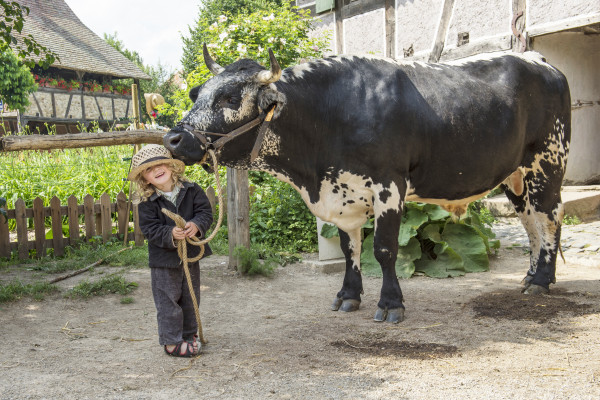 Billet d'entrée - Écomusée d'Alsace - Bonjour Alsace Billet d'entrée - Écomusée d'Alsace - Bonjour Alsace