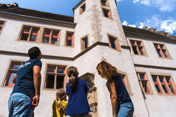 Billet d'entrée - la Seigneurie - Bonjour Alsace