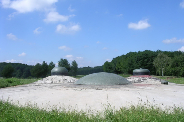 Billet d'entrée Ligne Maginot "Fort de Schoenenbourg" - Bonjour Alsace