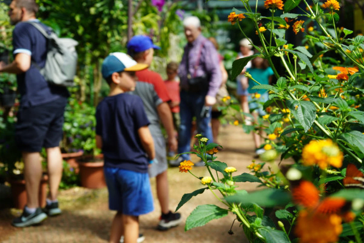 Billet Jardins des Papillons 1€ de réduction par adulte - Bonjour Alsace