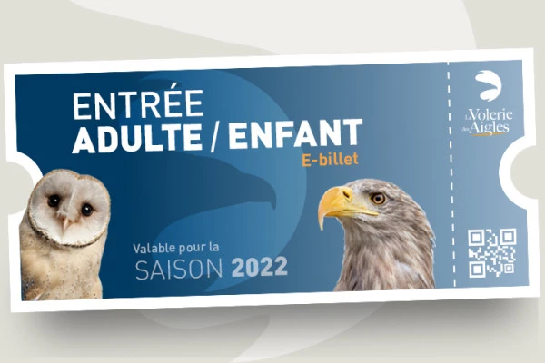 Bonjour Alsace | Billet d'entrée 2022 - Volerie des Aigles