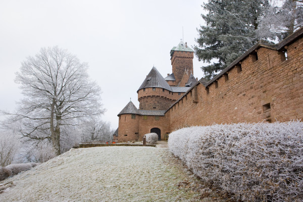 Bonjour Alsace | Billet d'entrée coupe-file - Château du Haut-Koenigsbourg