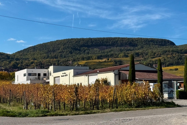Cave de Noël – Dégustation gourmande au cœur du vignoble alsacien - Bonjour Alsace