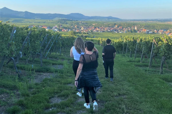 Chasse au Trésor dans le vignoble du Marckrain - Bonjour Alsace