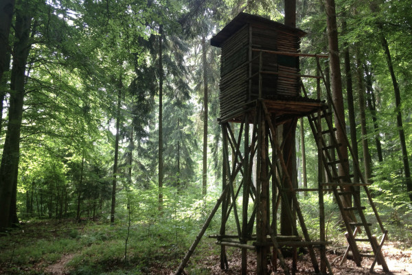 CHASSE AUX TRÉSORS DIGITALE À PIED OU À VÉLO - Bonjour Alsace