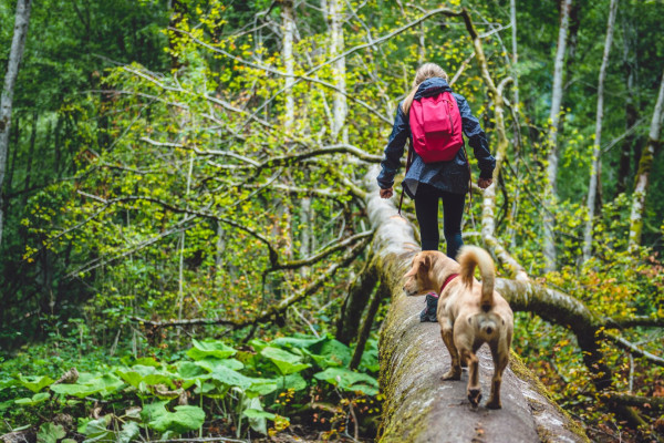 CHASSE AUX TRÉSORS WINTZENHEIM (À PIED) - Bonjour Alsace