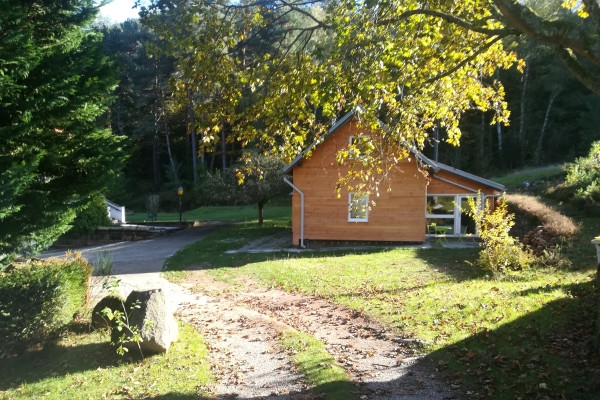 Chemin de résilience - Bonjour Alsace