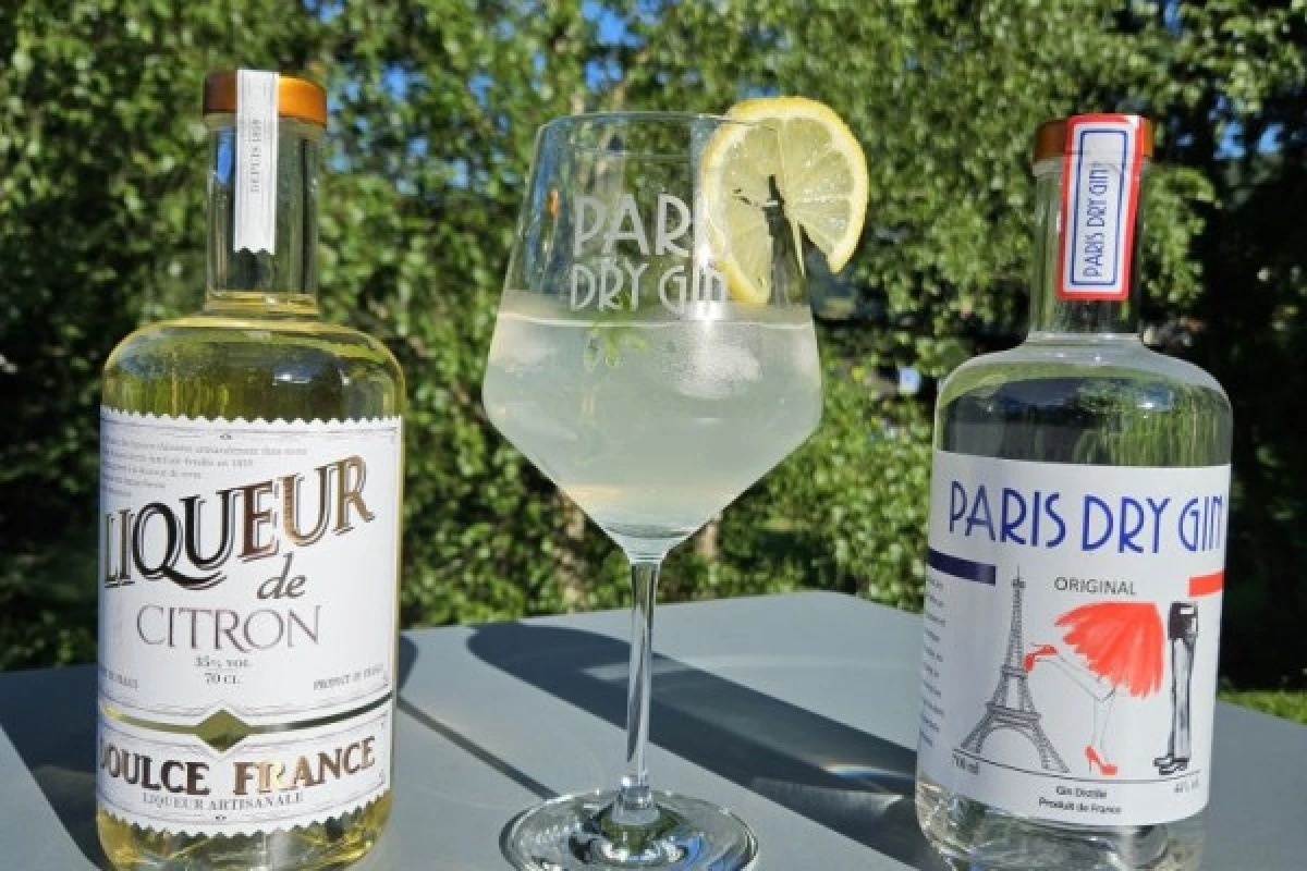 Cocktail