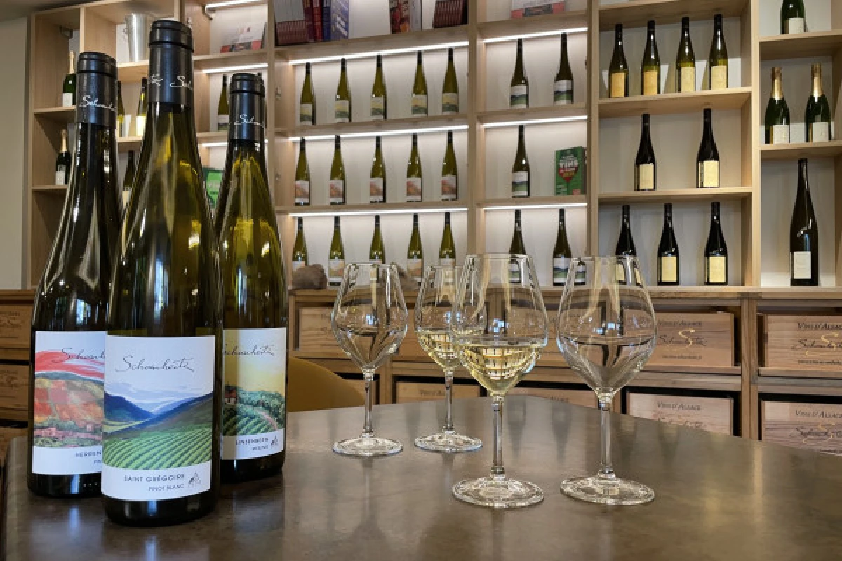 Découverte des vins d'Alsace - Bonjour Alsace