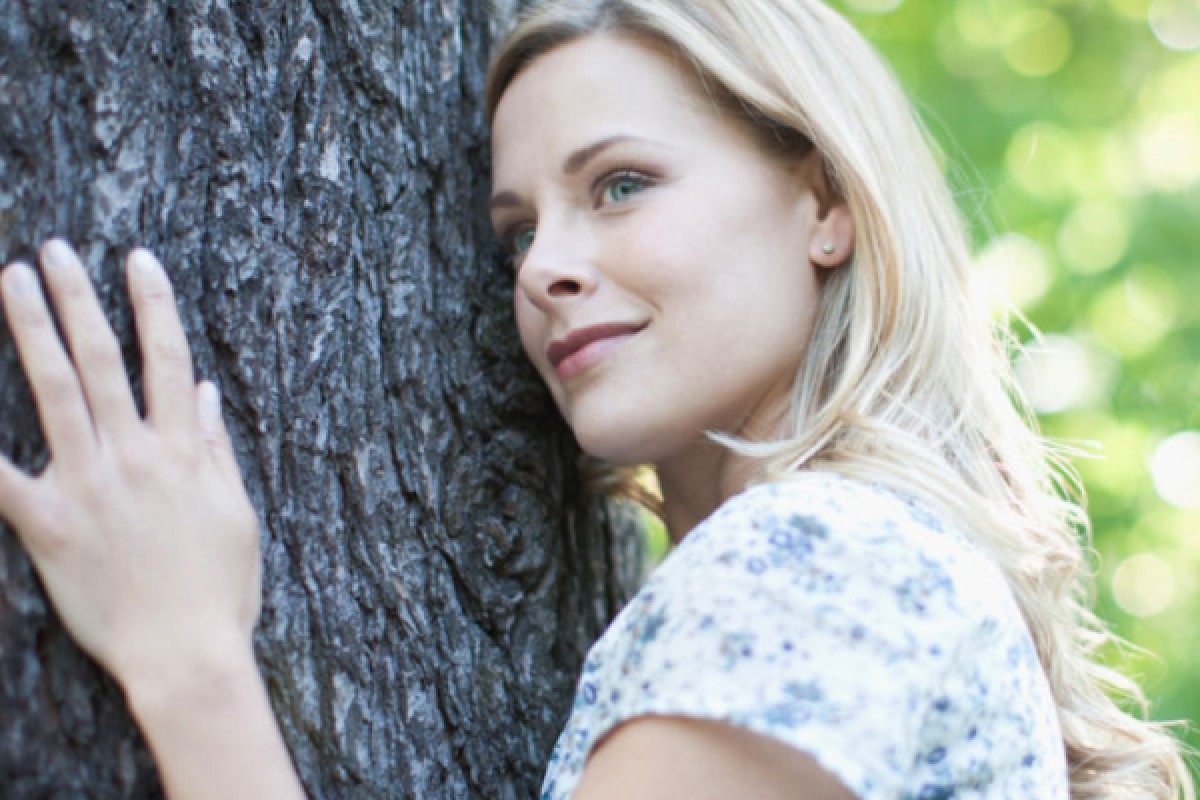 Découverte Sylvothérapie dans les Vosges - Bonjour Alsace