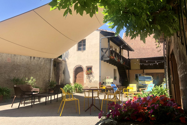 Découverte vigneronne : l'âme d'un domaine - Bonjour Alsace