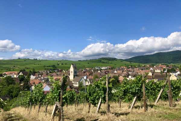 Bonjour Alsace | Découverte vigneronne