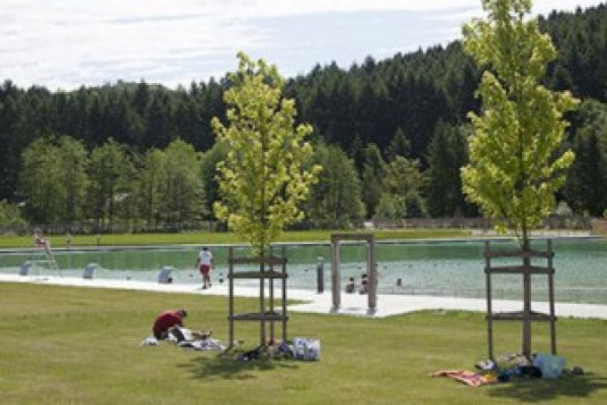 Découvrez le lac aux milles étoiles - Bonjour Alsace