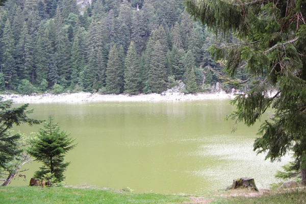 Bonjour Alsace | Découvrez les 4 splendides lacs d'origine glaciaire !