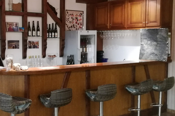 Dégustation de 4 vins d'Alsace BIO (6 personnes max.) - Bonjour Alsace