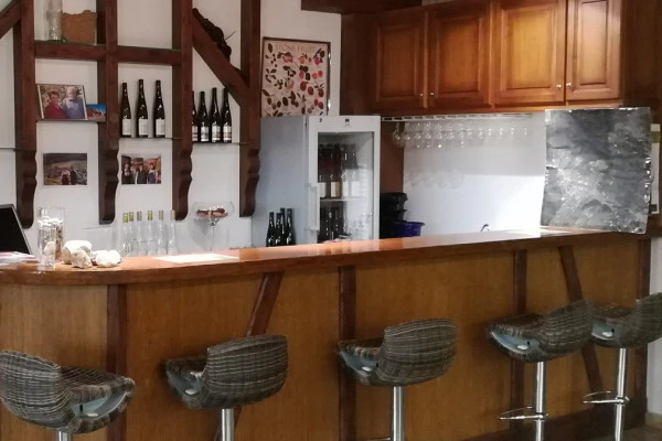 Dégustation de 6 vins d'Alsace BIO (6 personnes max.) - Bonjour Alsace