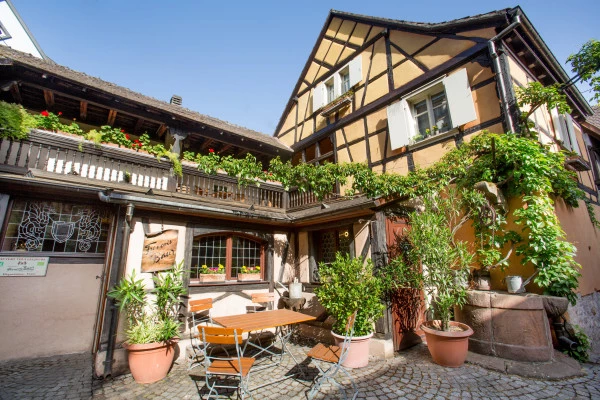 Dégustation de 8 vins et visite de notre vieille cave. - Bonjour Alsace