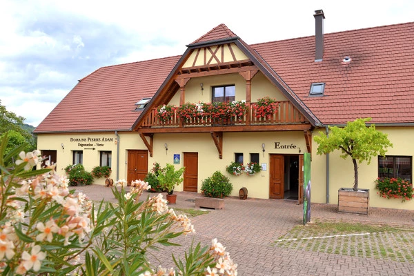 Dégustation Découverte des Vins d'Alsace - Bonjour Alsace