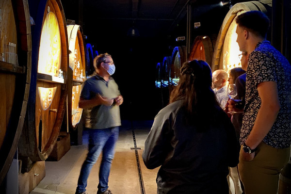 Bonjour Alsace | Dégustation de 5 vins et visite de cave immersive