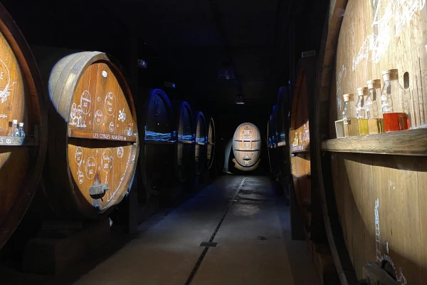 Bonjour Alsace | Dégustation de 5 vins et visite de cave immersive