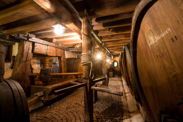 Bonjour Alsace | Dégustation de 5 vins et visite de notre vieille cave.