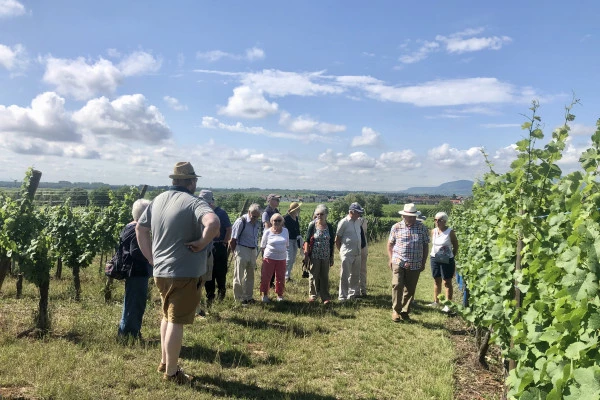 Bonjour Alsace | Découverte vigneronne : l'âme d'un domaine