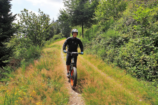 E-Trott Aventure - Parc Alsace Aventure - Bonjour Alsace