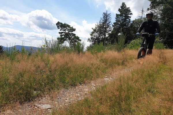 E-Trott Aventure - Parc Alsace Aventure - Bonjour Alsace