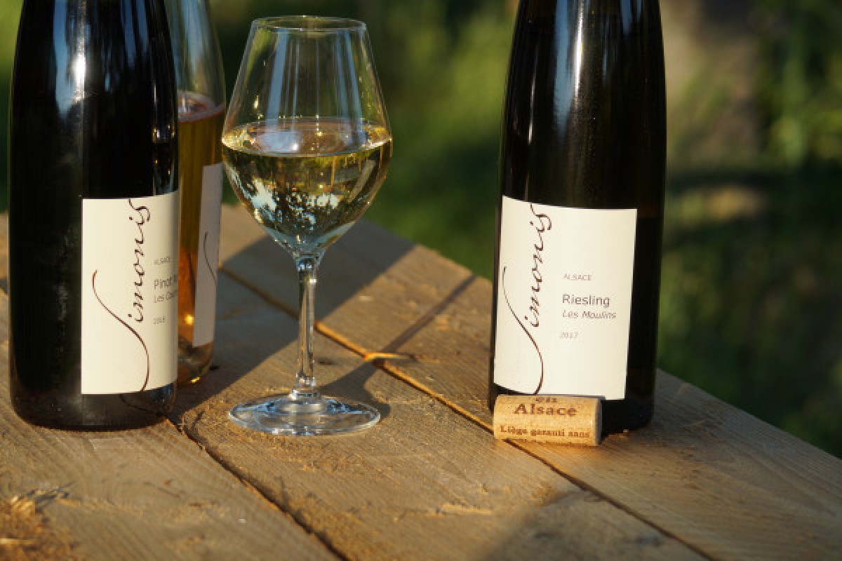 Entre cépages et pétales : la vigne et sa flore - Bonjour Alsace