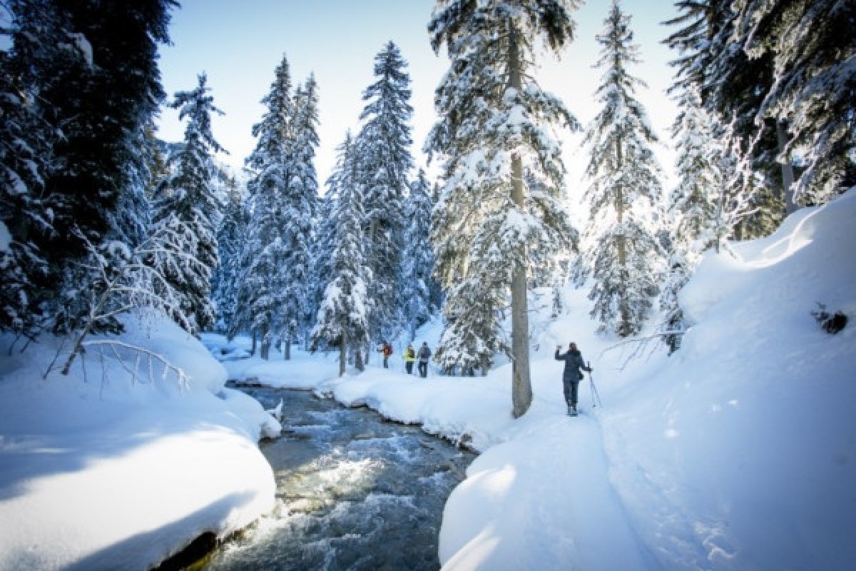 Fêter Nouvel An 3 jours à Orbey - Bonjour Alsace