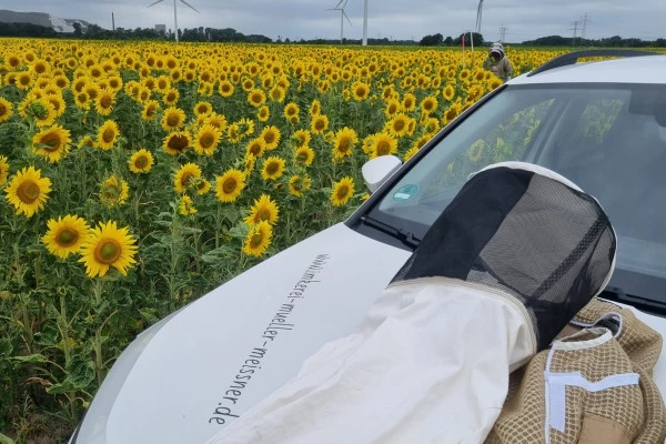 Honig-Verkostung für 2 - Bonjour Alsace Honig-Verkostung für 2 - Bonjour Alsace