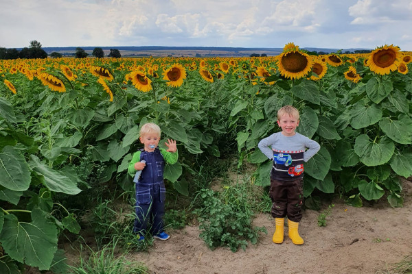 Honig-Verkostung für 2 - Bonjour Alsace