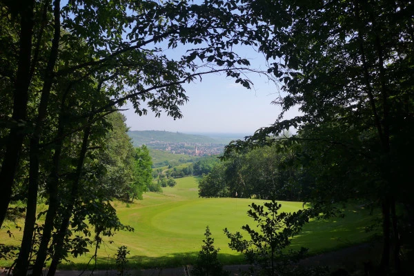 Initiation au golf - Bonjour Alsace