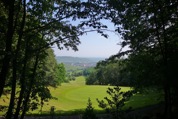 Bonjour Alsace | Initiation au golf